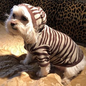 Hip Doggie Hoodie Sweater